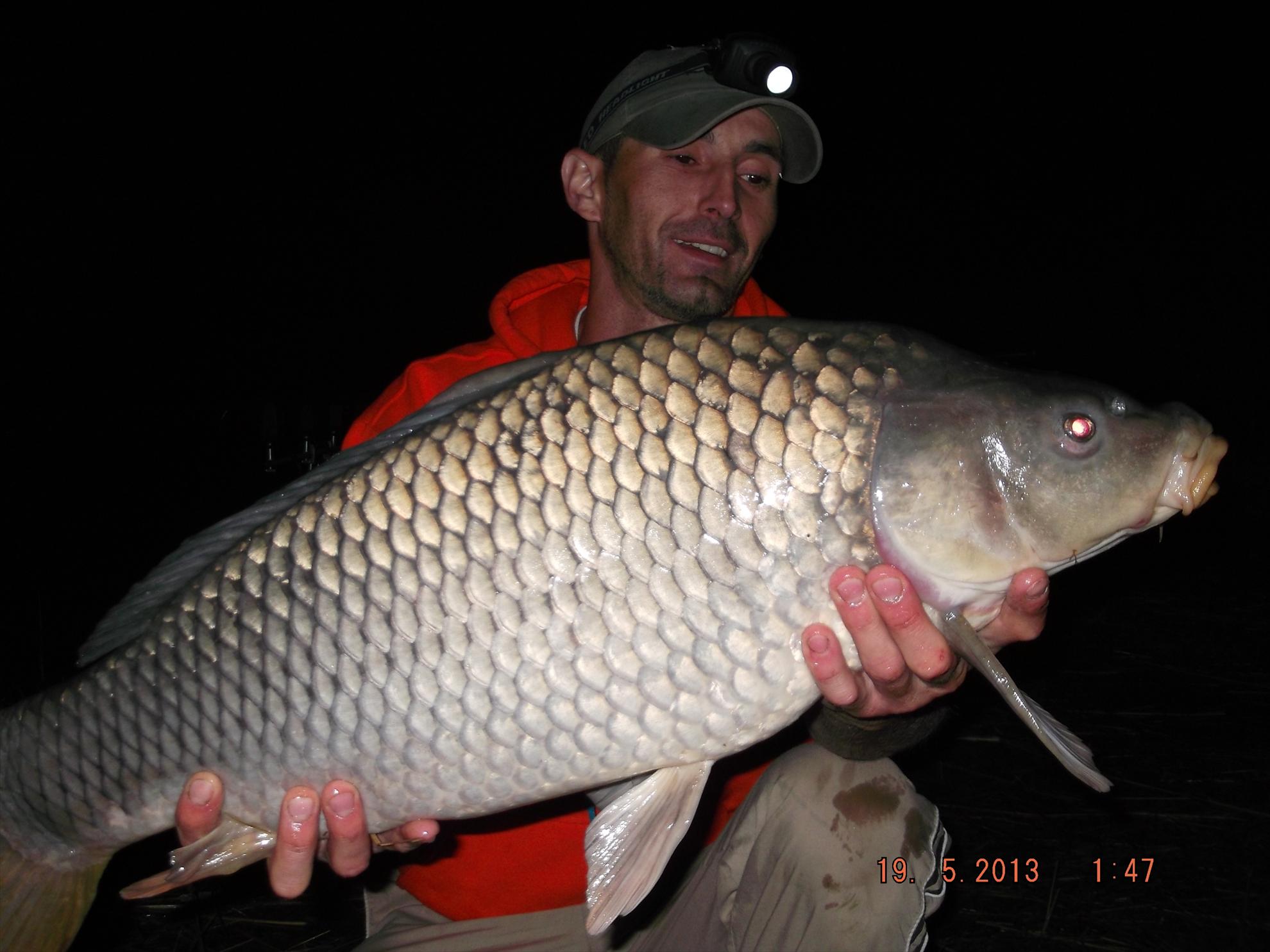 noaptea partea a ll - dscf0621.JPG